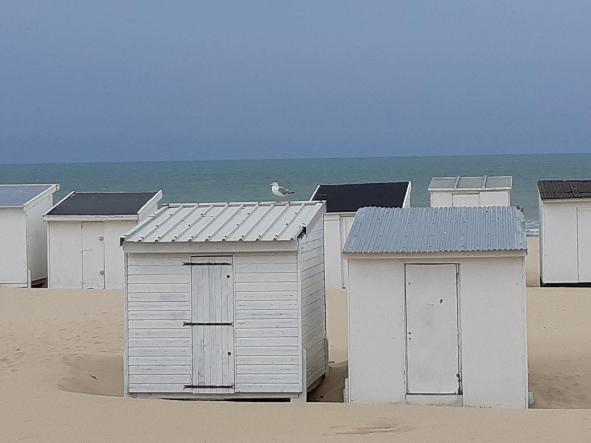 Calais Plage - Magnifique Studio - Front De Mer エクステリア 写真